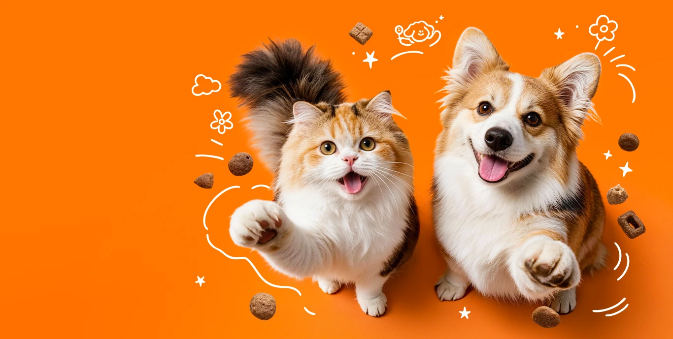 Dry Pet Food